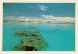 Delcampe - POLINESIA   RANGIROA:  LA  LAGUNA      (NUOVA CON DESCRIZIONE DEL SITO SUL RETRO) - Französisch-Polynesien