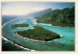 Delcampe - POLINESIA   LAGUNA  CORALLINA        (NUOVA CON DESCRIZIONE DEL SITO SUL RETRO) - Französisch-Polynesien