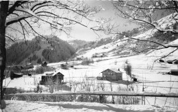 ¤¤  -  2009   -  LES CONTAMINES  -  Les Chalets Du Mont-Blanc  " Renaitre " Et " Montjoie "     -  ¤¤ - Contamine-sur-Arve