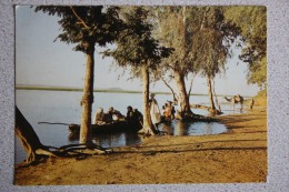 Delcampe - Old Postcard  Gao - Republique Du Mali  Bord Du Niger - Old PC - Mali