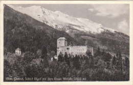 4031.   Lienz - Osttirol - SchloB Bruck Mit Dem Bosen Weibele - Small Format - Lienz