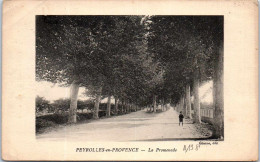 Delcampe - 13 PEYROLLES EN PROVENCE - La Promenade - Peyrolles