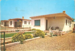 Delcampe - Vinaroz - Castellón