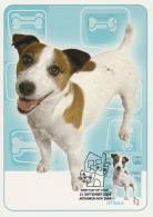 Delcampe - Australia-2004 Cats And Dogs,50c Edward  Maximum Card - Maximumkarten (MC)