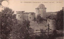 TONQUEDEC - Le Château (côté Sud) - Tonquédec
