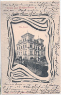Gruss Aus Nieder ZWÖNITZ Villa Austel Belebt Jugendstil Rahmen 6.6.1904 Gelaufen - Zwoenitz