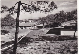 Delcampe - VILLAGES  VACANCES  FAMILLES.  CAPBRETON  (Landes) 40  -  PAVILLONS  DANS  LA  FORÊT - Capbreton