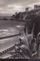 Delcampe - BIARRITZ - Biarritz