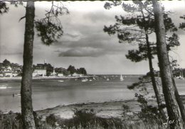 Delcampe - B28 / DEPT 29 CPSM DENTELLE 1960 BENODET VUE DE STE MARIE VERS LE LARGE NEUVE VOIR DOS - Bénodet