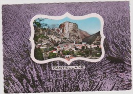 Delcampe - Alpes De Haute  Provence :  CASTELLANE  : Vue  Entouré  De  Lavande - Castellane