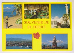 CPM SOUVENIR DE ST PIERRE MULTIVUES - Saint Pierre