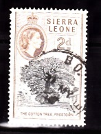 Sierra Leone, SG 213, Used - Sierra Leone (...-1960)