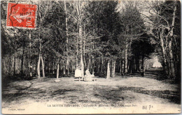 Delcampe - 41 LAMOTTE BEUVRON - Colonie St Maurice - Une Allée Sous Bois. - Lamotte Beuvron