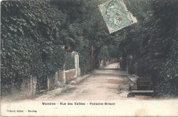 MANDRES - 94 - CPA COLORISEE De La Rue Des Vallées - Fontaine Bréant - VAN - - Mandres Les Roses