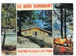 Delcampe - 02990-LE-80-Souvenir Du Camping " LE BOIS DORMANT " -QUEND-PLAGE-LES-PINS-----------multivues - Quend