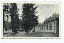 CPSM CAMP D´ELSENBORN, AVENUE LEOPOLD III, Format 9 Cm Sur 14 Cm Environ, PROVINCE DE LIEGE, BELGIQUE - Elsenborn (Kamp)