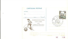 Delcampe - R-SCAUTISMO-1915-1995-80 ANNI DI SCAUTISMO CNGEI A PARMA CARTOLINA POSTALE - Pfadfinder-Bewegung