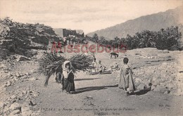 Delcampe - ALGERIE - LAGHOUAT - Femme Arabe Rapportant Des Branches De Palmiers - Dos Vierge -  2 Scans - Frauen