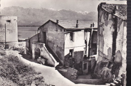 Delcampe - CALVI  1955 - Calvi