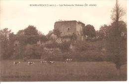 Delcampe - SEMBLANCAY. LES RUINES DU CHATEAU. - Semblançay