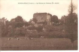 SEMBLANCAY. LES RUINES DU CHATEAU. - Semblançay