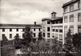 Delcampe - San Sepolcro, Collegio INADEL, Giardino Interno. Tassata E Non Affrancata - Arezzo