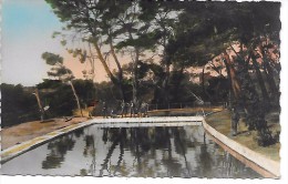 Delcampe - AUBAGNE - Camp De La Demande - La Piscine - Aubagne
