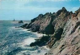 Delcampe - CPM - 29 - La Pointe Du Raz - La Pointe Du Raz