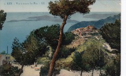 Delcampe - Cp , 06 , ÈZE , Vue à Travers Les Pins - Eze