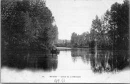 Delcampe - 89 BRIENON - Vue Sur L'armancon - Brienon Sur Armancon