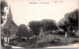 89 CERISIERS - Les Promenades - Cerisiers