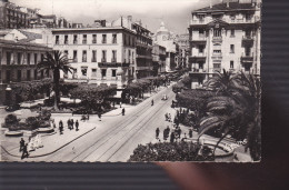 Delcampe - ALGER 1956 - Algerien