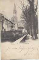 Delcampe - Cpa 38 Isere  Cremieu Promenade Des Tilleuls - Crémieu