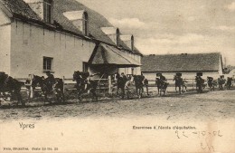 Delcampe - Ypres:  Exercices à L'école D'equitation - Ieper