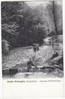 Delcampe - PGL AT619 - BADIA PRATAGLIA CASCATA DELL'ARCHIANO - Arezzo