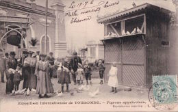 Delcampe - Tourcoing (59) Exposition Internationale Pigeons Apprivoisés CPA 1906 - Tourcoing