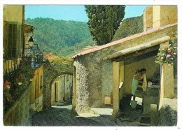 Delcampe - BIOT - Porte Et Lavoir Des Migraniers - Biot