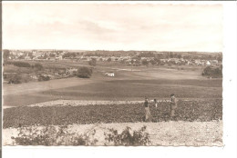Delcampe - CHATEAU NEUF SUR CHARENTE   Vue Panoramique   ,Edition VAN EYCK - Chateauneuf Sur Charente