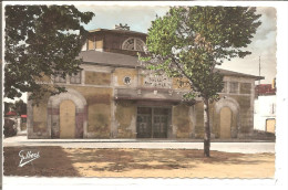 Delcampe - CHATEAU NEUF SUR CHARENTE   Salle Des Fetes   ,Edition  Charentaise D'art  No 65 - Chateauneuf Sur Charente