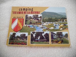 Delcampe - CAMPING "LES AMIS DE LA NATURE" Près De Munster, à LUTTENBACH : Jolie Carte - Munster
