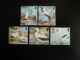 Ascension Island 2004 - Bird Life International - Birds : Masked Booby - Ascensión
