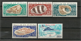 Année 1976.   5 T-p Neufs **, Inclus Poste Aérienne. (coquillages,avion Concorde)  Côte  52,00 € - Unused Stamps