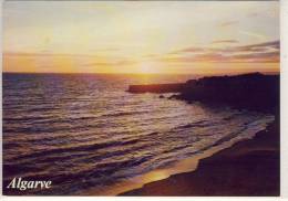 Delcampe - ALGARVE -  Por Do Sol - Faro
