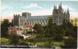 Peterborough Cathedral N. W. View Early Colour Postcard - Local Publisher J H D - Northamptonshire