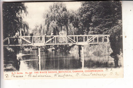 Delcampe - NEW ZEALAND, CHRISTCHURCH, Botanical Gardens, White Bridge, 1906 - Neuseeland