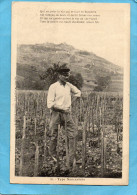 Delcampe - Sancerrois--gros Plan Un Vigneron Dans Les Vignes- -avec  Poème-a Voyagé En 1933-édition Héraud - Bauern
