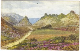 Valley Of Rocks By A R Quinton Colour Postcard - Unused - Salmon 2092 - Quinton, AR