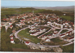 Delcampe - PUYLAURENS - Vue  Aérienne - Puylaurens