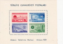 TURQUIE BLOC N° 4 DE 1952 NEUF *** - Nuovi