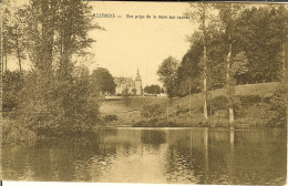 Delcampe - CP De ASSENOIS " Vue Prise De La Mare Aux Vaches "  Avec Cachet Relais De Assenois 1929. - Léglise